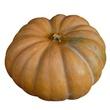 Courge Muscade De France Par 500g